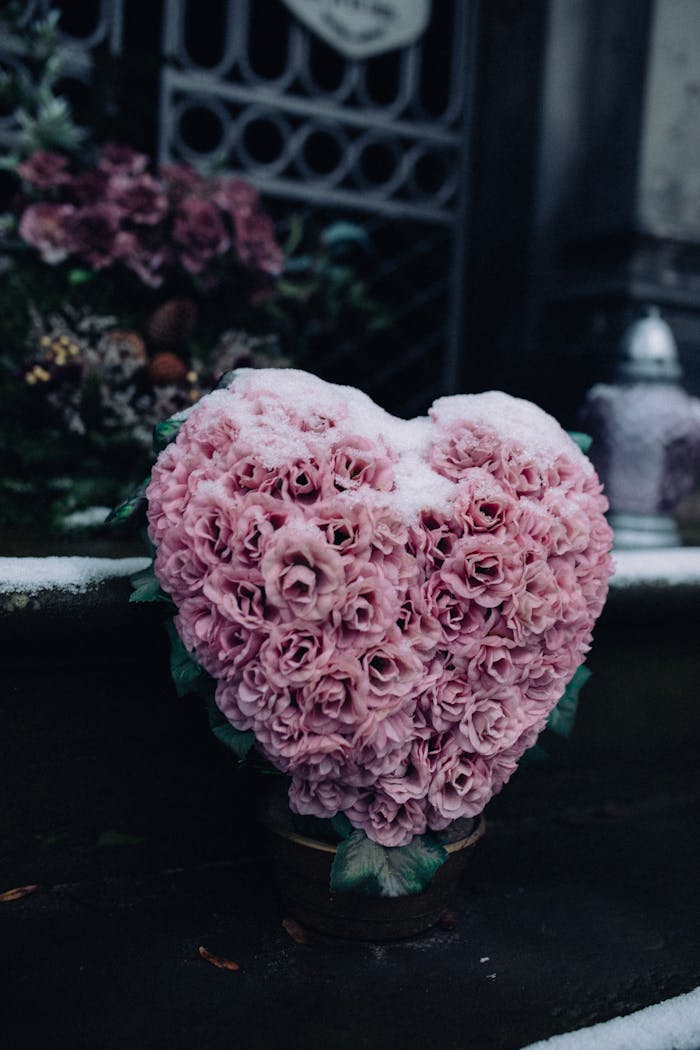pexels-photo-6495750 Heart-shaped arrangement of pink roses with snow, placed in a serene cemetery.